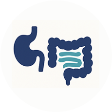 Cirurgias do Estômago, Cólon e Intestino