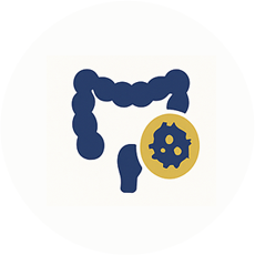 Cirurgia Oncológica Digestiva