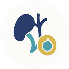 Cirurgia da Vesícula e Via Biliar